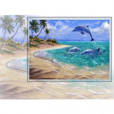 STEVE SUNDRAM MAXI GREETING CARD Bahama Dolphins